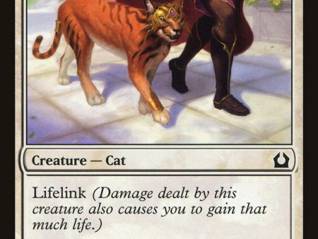 Trained Caracal [Return to Ravnica] For Cheap