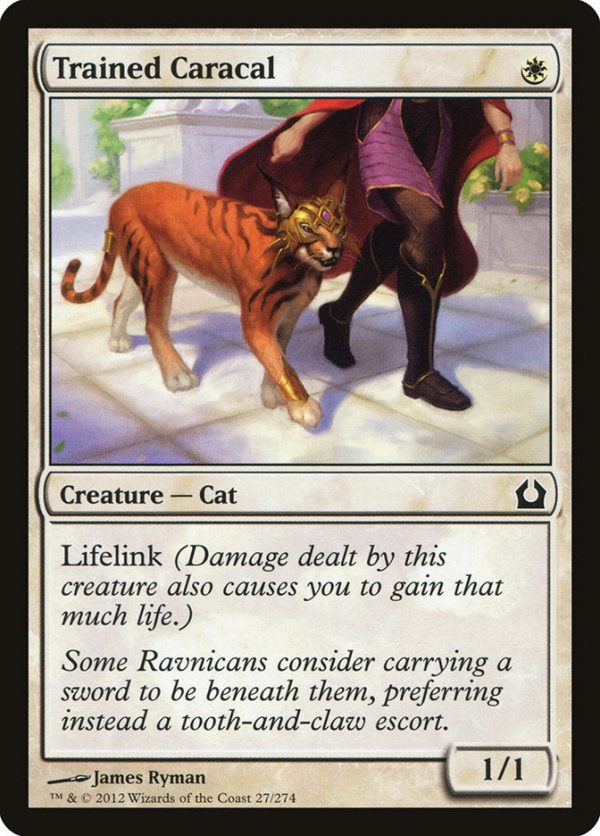 Trained Caracal [Return to Ravnica] For Cheap