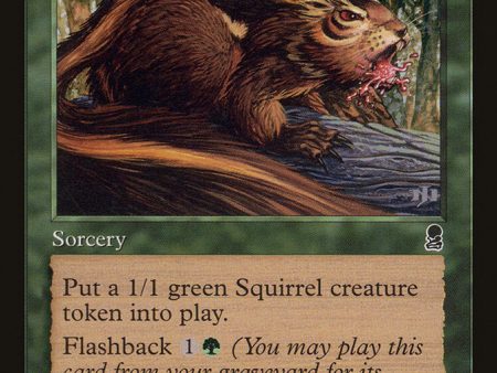 Chatter of the Squirrel [Odyssey] Cheap