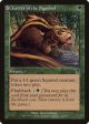 Chatter of the Squirrel [Odyssey] Cheap