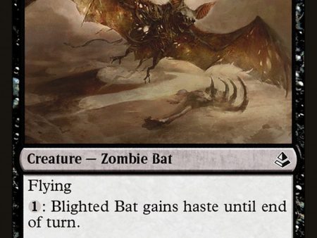 Blighted Bat [Amonkhet] Online Hot Sale