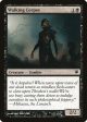 Walking Corpse [Innistrad] Supply