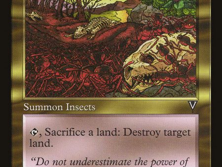 Army Ants [Visions] Sale