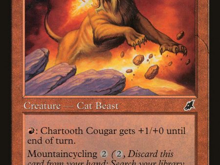 Chartooth Cougar [Scourge] Cheap