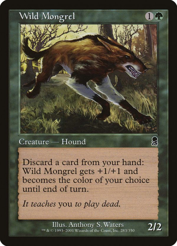 Wild Mongrel [Odyssey] For Cheap